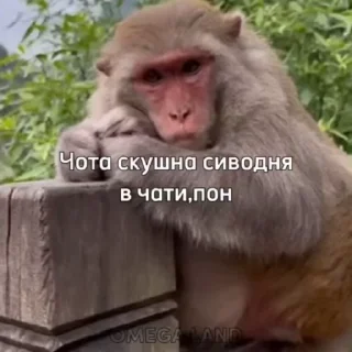 😭 emoji Стикеры Иван Чая пон 2 ➡️ @Ctikerubot Telegram sticker 5 of 104