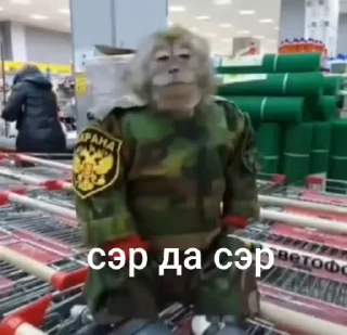 Sticker from Стикеры Иван Чая пон ➡️ @Ctikerubot