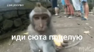 😱 emoji Стикеры Иван Чая пон 2 ➡️ @Ctikerubot Telegram sticker 4 of 104