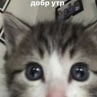 😃 emoji для язвы Telegram sticker 18 of 120