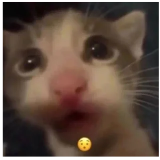 😯 emoji для язвы Telegram sticker 21 of 120