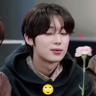 Sticker from 今 SUNOO  ⊹  @forsunooya   ১