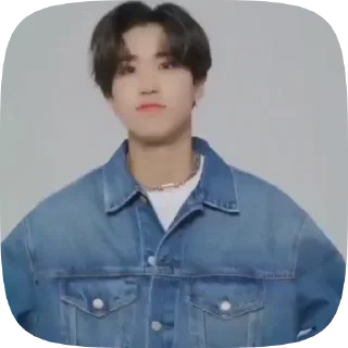 💐 emoji SKZ FAMILY — @stckrRobot Telegram sticker 22 of 39