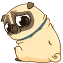 🥺 emoji Puga the Dog Telegram sticker 15 of 24