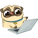 💻 emoji Puga the Dog Telegram sticker 9 of 24