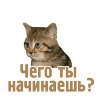 👍 emoji Vagabond Smilodon ➡️ @Ctikerubot Telegram sticker 7 of 15