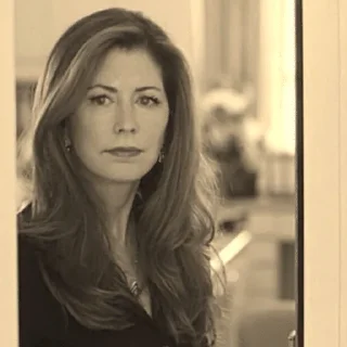 🌟 emoji Dana Delany @resexuachl Telegram sticker 6 of 44
