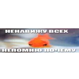 😡 emoji милые котята Telegram sticker 12 of 47