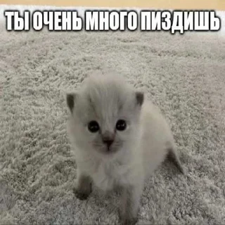😍 emoji пиздарики ➡️ @Ctikerubot Telegram sticker 5 of 73