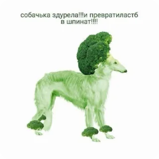 🌟 emoji Больше стиков тут: @stikery4 Telegram sticker 9 of 32