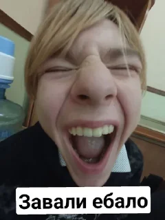🥝 emoji Бойцовский клуб Telegram sticker 15 of 120