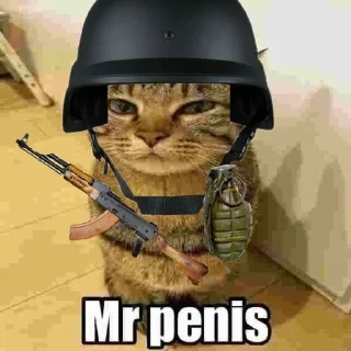 ☺️ emoji only mr penis @SkufStickers Telegram sticker 14 of 25