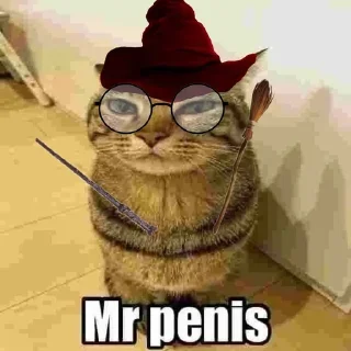 😜 emoji only mr penis @SkufStickers Telegram sticker 12 of 25