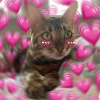 💗 emoji эсми великая Telegram sticker 23 of 23