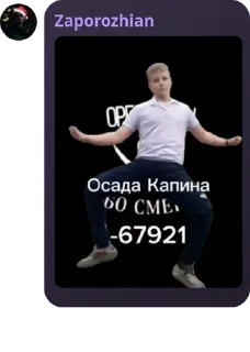 ▪️ emoji Рух капібар pack by @QuotLyBot Telegram sticker 11 of 18