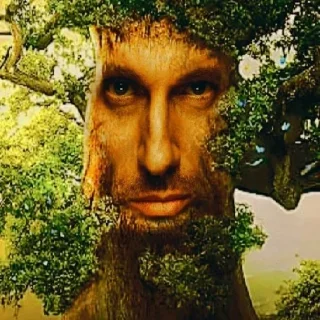 🌳 emoji Дуб🌳 Telegram sticker 24 of 25