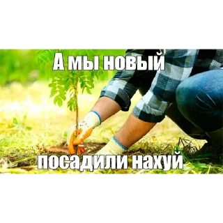 🌳 emoji Дуб Telegram sticker 2 of 7