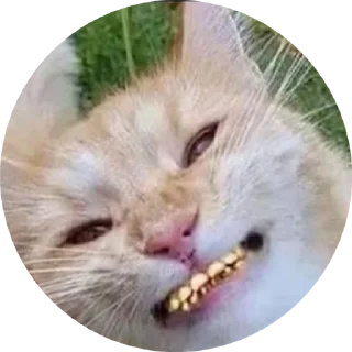 🌟 emoji shmoney sound Telegram sticker 20 of 26