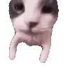 Sticker from Premium stickers → @moomv