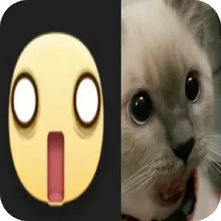 🐱 emoji Не заходи сюда👉🏻 @stikiin Telegram sticker 19 of 40