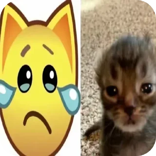 🐱 emoji Не заходи сюда👉🏻 @stikiin Telegram sticker 24 of 40