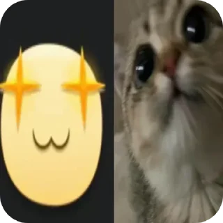 🐱 emoji Не заходи сюда👉🏻 @stikiin Telegram sticker 18 of 40