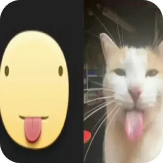 🐱 emoji Не заходи сюда👉🏻 @stikiin Telegram sticker 17 of 40