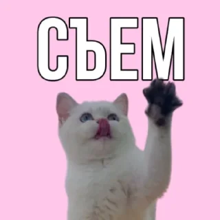 😋 emoji 🌸семья🌸 Telegram sticker 6 of 98