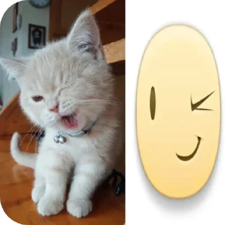 ☃ emoji @towhereyouare Telegram sticker 3 of 15