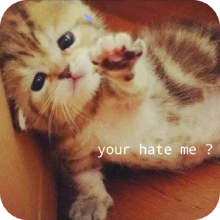 🐱 emoji @towhereyouare Telegram sticker 8 of 15