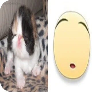 ☃ emoji @towhereyouare Telegram sticker 5 of 15