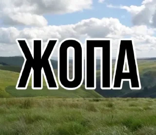 Sticker from КАРТИНКИ🏞 @BESTSTICKL