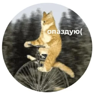 👩‍🦽 emoji ура Telegram sticker 16 of 59