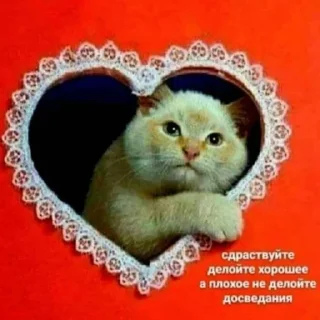 😇 emoji ура Telegram sticker 21 of 59