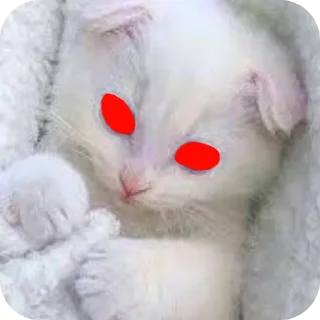 🐱 emoji Стив @kanal_stivena Telegram sticker 5 of 20