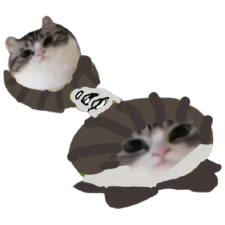 🍉 emoji Шарики , шарики , совсем заебали БЛЯЯЯЯЯЯ Telegram sticker 11 of 59