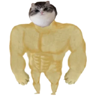 💪 emoji Шарики , шарики , совсем заебали БЛЯЯЯЯЯЯ Telegram sticker 3 of 59