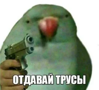 🔫 emoji Стики 0774 из @Anonymnyi_chat_bot Telegram sticker 18 of 40
