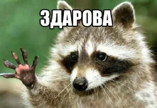 👋 emoji Стики 0774 из @Anonymnyi_chat_bot Telegram sticker 12 of 40