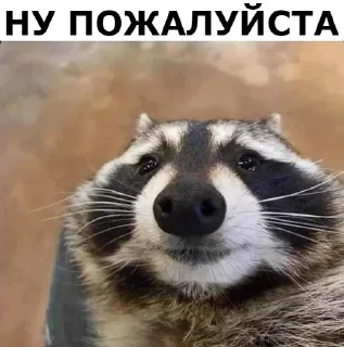 🙏 emoji Стики 0774 из @Anonymnyi_chat_bot Telegram sticker 22 of 40