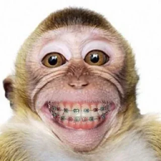 🤩 emoji виктори шалит Telegram sticker 14 of 85