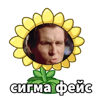 😙 emoji 🌻NFT подсолнух | @NFTpodsolnuh 📎 Telegram sticker 15 of 40