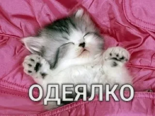 🤪 emoji Лучьше стикеры - @lovesticers Telegram sticker 5 of 70