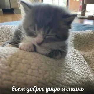 💤 emoji Лучьше стикеры - @lovesticers Telegram sticker 13 of 70