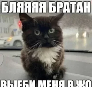 ❤️ emoji Лучьше стикеры - @lovesticers Telegram sticker 2 of 70