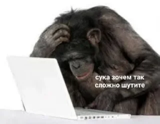 🔫 emoji Аэыуаыоиэыа Добри Арбуз 🍉 Official Telegram sticker 22 of 120