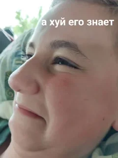 🌟 emoji Долбоебики Telegram sticker 15 of 35