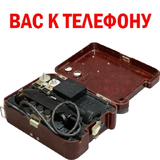 Sticker from MUSHROOM CARTEL PACK