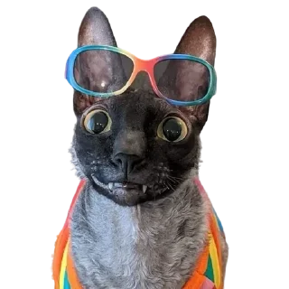 👓 emoji пиксель @pixel_gifs Telegram sticker 17 of 80