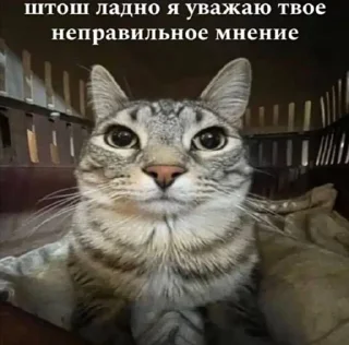 Sticker from пуки каки